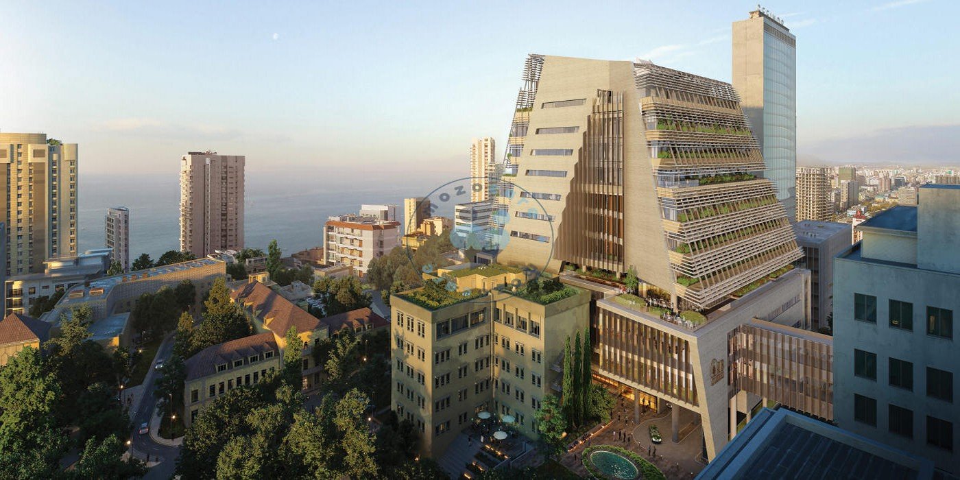 American University Hospital of Beirut Beirut Lebanon