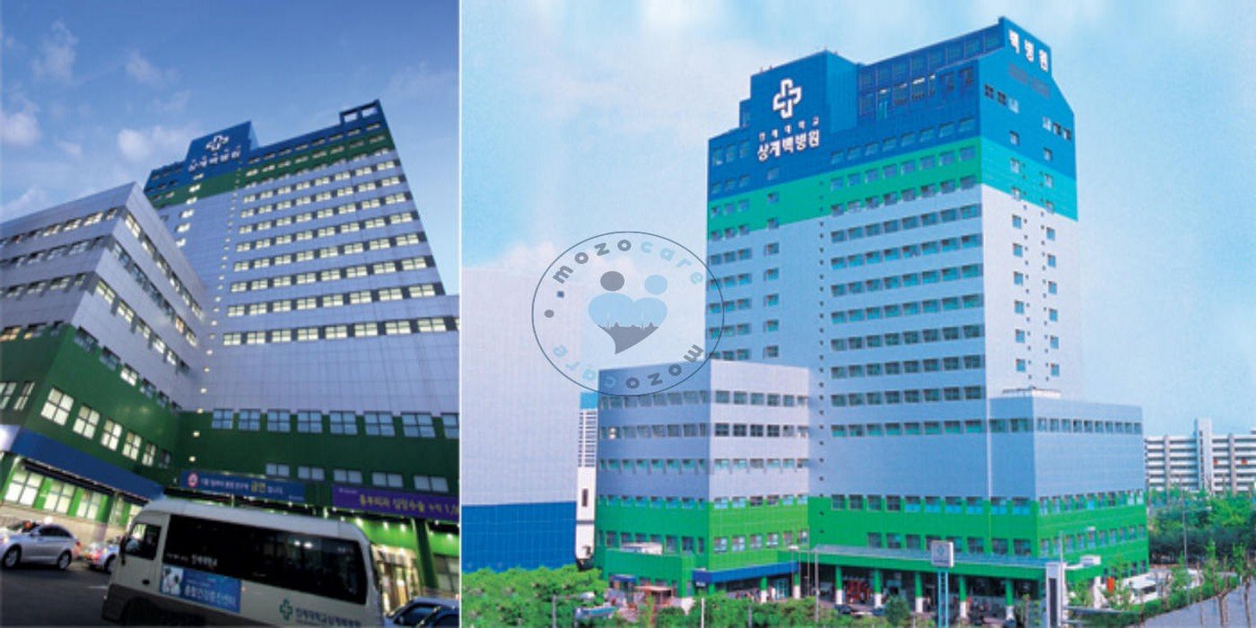 Inje University Ilsan Paik Hospital Goyang South Korea