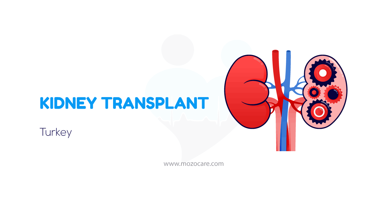 Kidney Transplant in Turkey